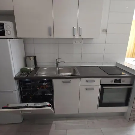 Apartment Druzianic *