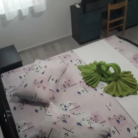 Apartment Druzianic *