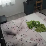 Apartamento Druzianic *